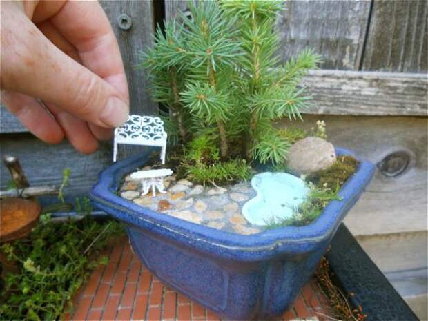 миниатюрные сады 