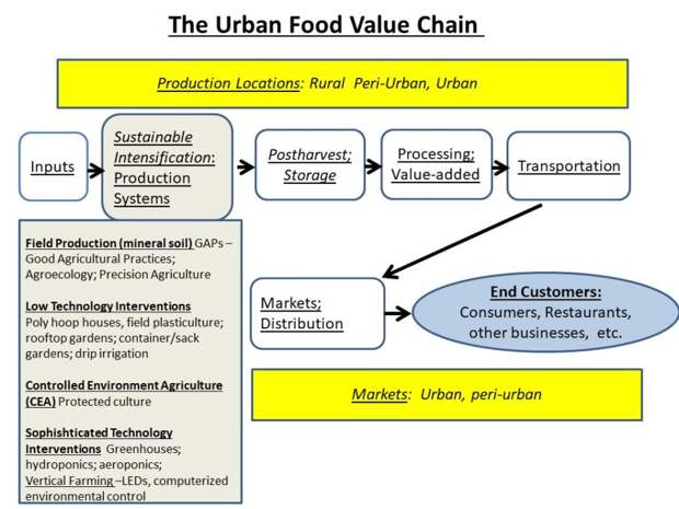 The Urban Food Value Chain Davies Garett
