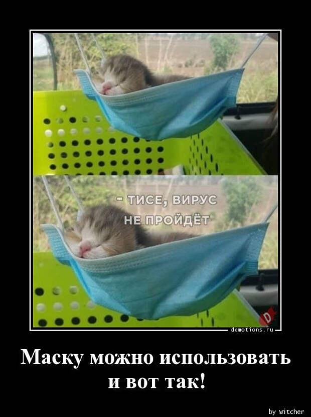 1591339575_demki-16.jpg
