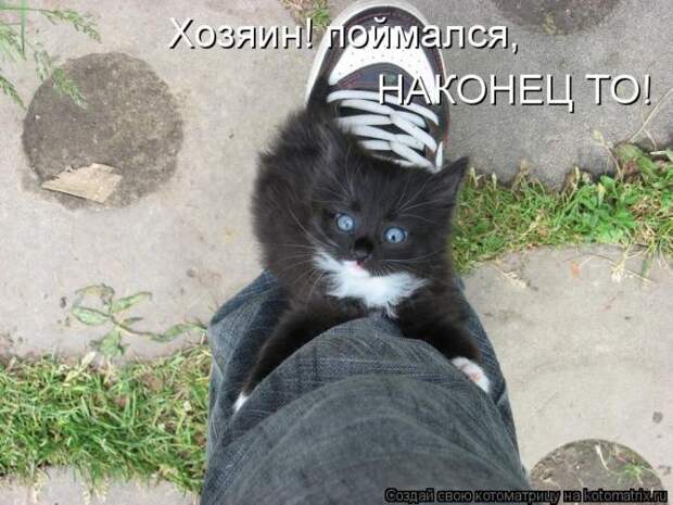 Мысли вслух :)