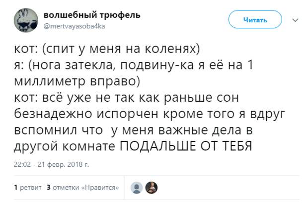 Убойные комментарии из социальных сетей Убойные комментарии из социальных сетей