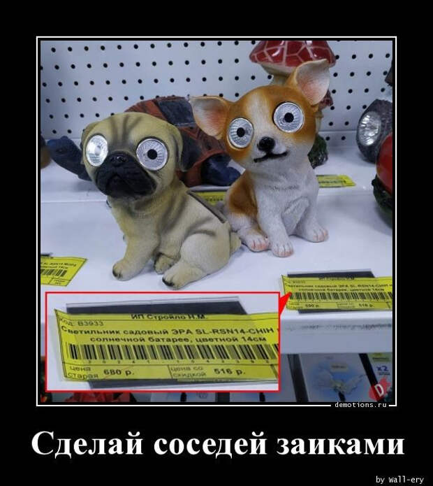 1591339640_demki-2.jpg