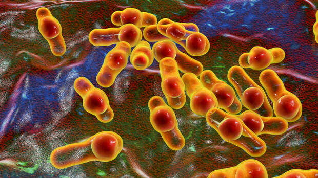 Врач рассказал о невозможности избавиться от ботулизма при домашней консервации