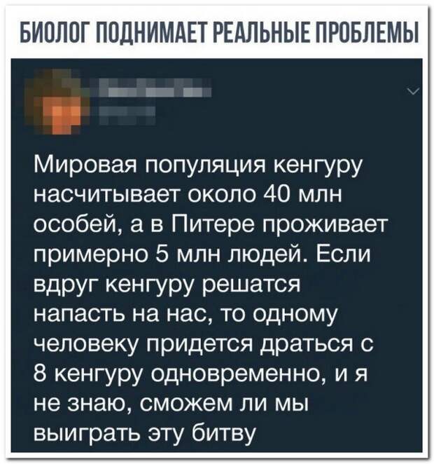 Лучшие комментаторы социальных сетей снова в деле! Лучшие комментаторы социальных сетей снова в деле!