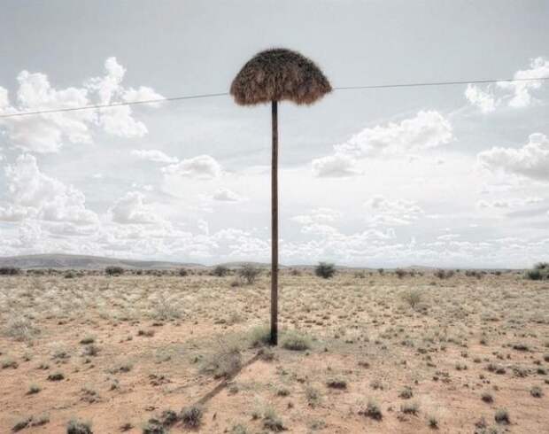 1 1