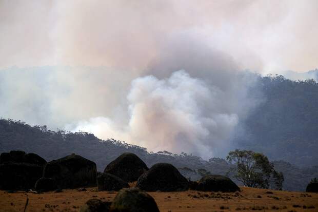 В Австралии много открытых территорий - по ним огонь перемещается быстрее всего и поражает леса с огромной скоростью Фото: REUTERS