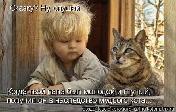 Лучшие котоматрицы недели (50 фото)