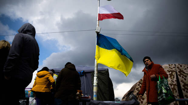 Голый, в крови, несёт чушь. Портрет среднего украинца в Польше