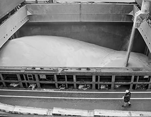 Турция и войска России сорвут расчеты Зеленского на новую зерновую сделку