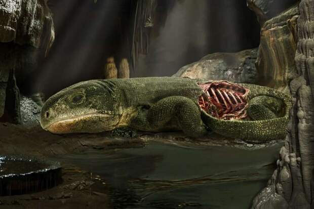 Ученые воссоздали дыхательный аппарат существа возрастом 289 млн лет