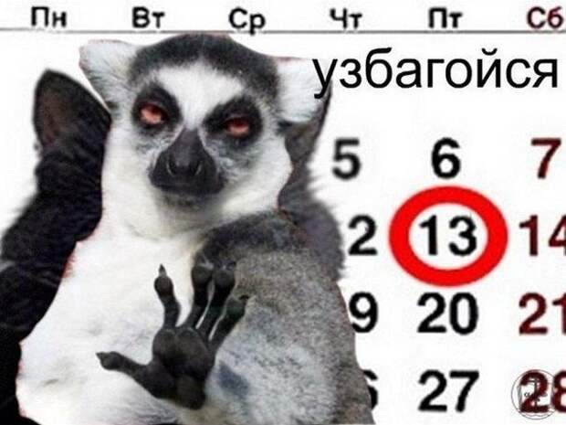 www.vsyako.net