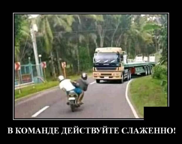 demotivatory-demotivator-smeshnye-demotivatory-demotivator-so-smyslom