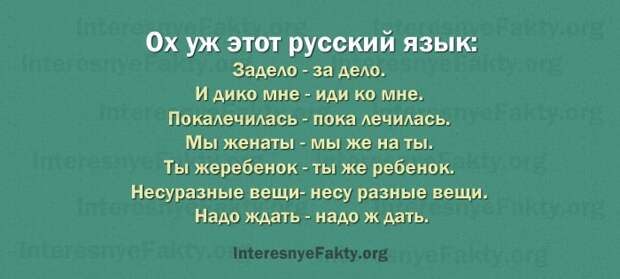 Особенности русского языка - INFOnotes