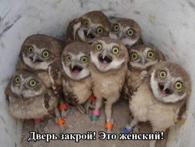 Подборка фотоприколов