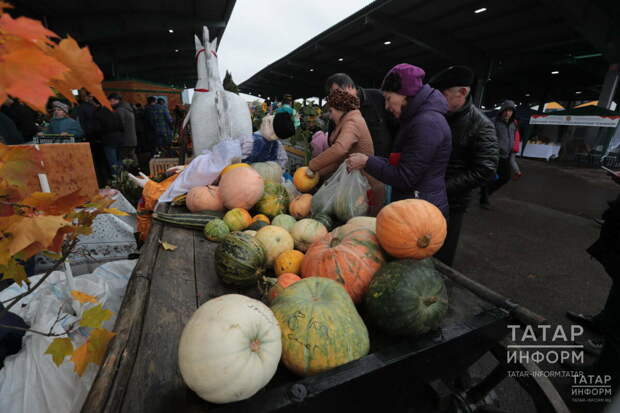 2025 елда Татарстанда авыл хуҗалыгы ярминкәләрендә 2 миллиард сумлык продукция сатылган