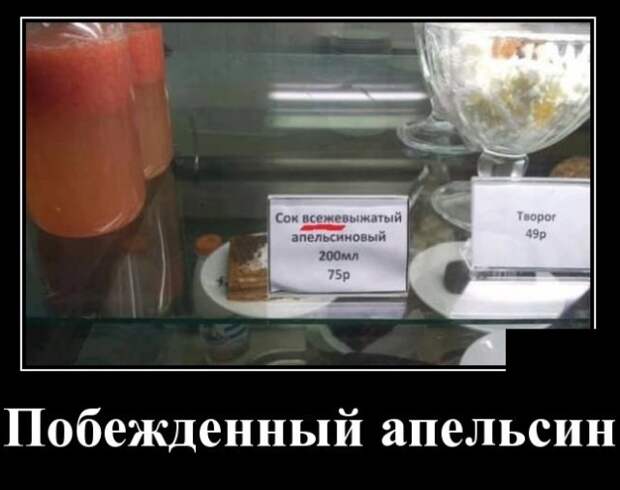Демотиваторы (30 фото)