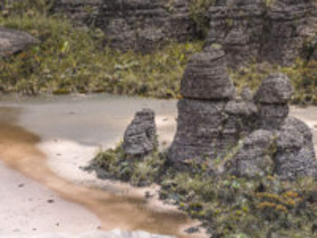 Венесуэла. Плато Рорайма. The plateau of Roraima on the Grand Sabana - Venezuela, Latin America. Фото Curioso_Travel_Photography - Depositphotos