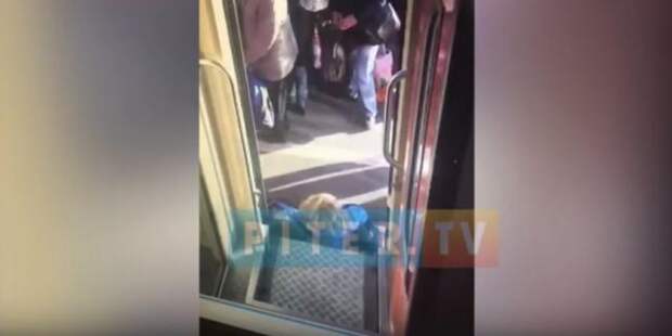 В Петербурге женщина провалилась между вагоном и платформой: видео