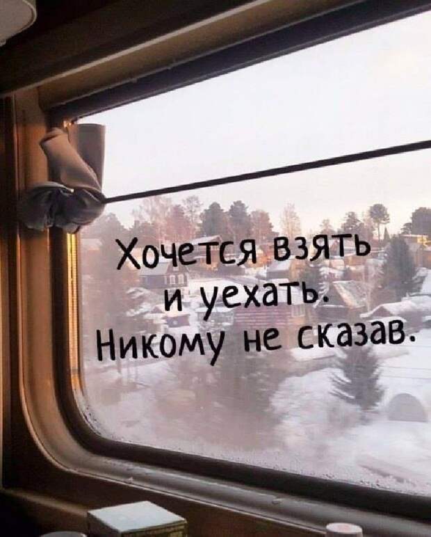 Несколько хороших фраз о правде жизни