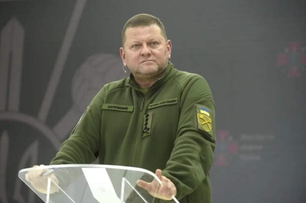 Залужный заявил, что наступление ВСУ в 2023 году провалилось