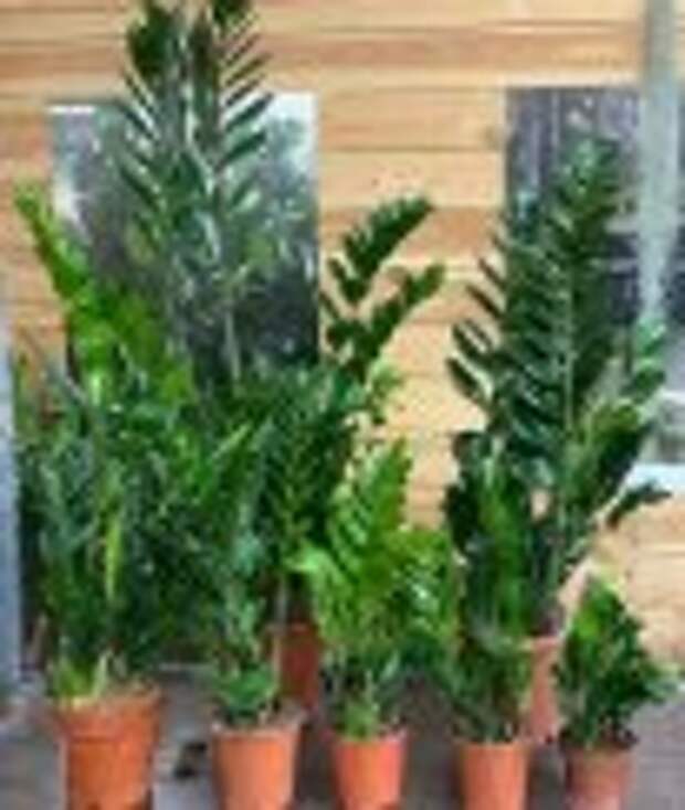 Пожар в центре Москвы: как выглядел склад до происшествия