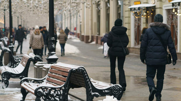Синоптик Позднякова: в первых числах марта в Москве может потеплеть до +3 °С