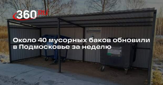 Около 40 мусорных баков обновили в Подмосковье за неделю