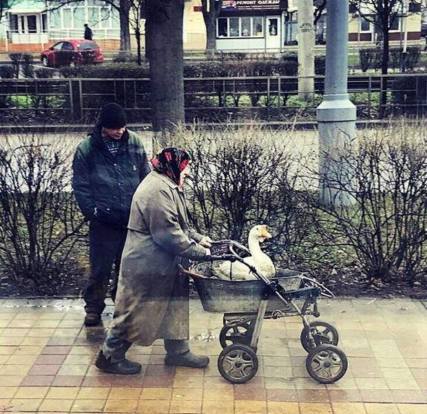 Фотографии, на которых запечатлены очень странные моменты