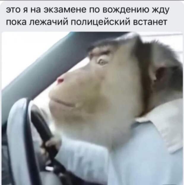 Немного странного и черного юмора