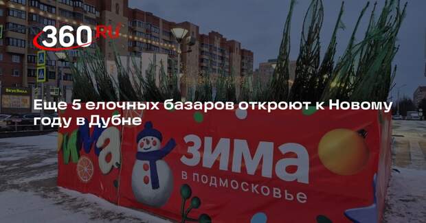 Еще 5 елочных базаров откроют к Новому году в Дубне