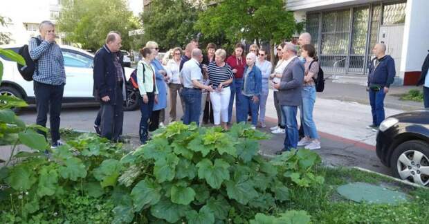 Источник фото: официальная страница управы "Востчоного дегунина" в социальной сети