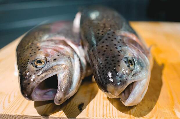 Купленная рыба часто оказывается не свежей. / Фото: kala-ranta.ruгг