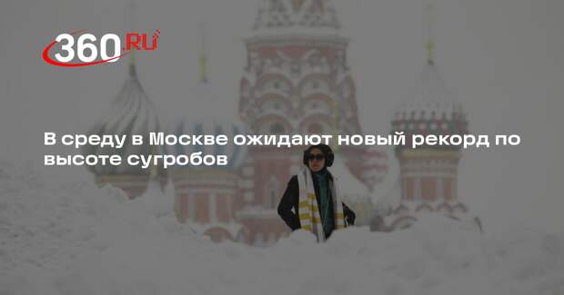 Синоптик Позднякова: в Москве 28 января ожидается новый рекорд по осадкам