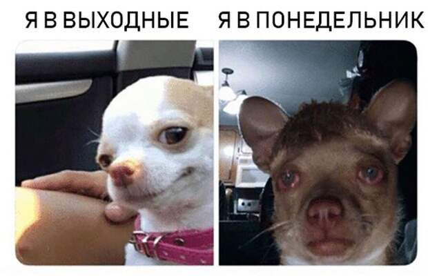 Подборка картинок. Вечерний выпуск (28 фото)