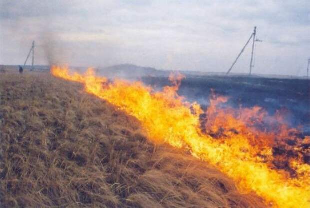 Горящая степь. Горящая степь