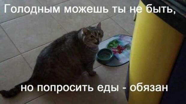 Подборка фотоприколов