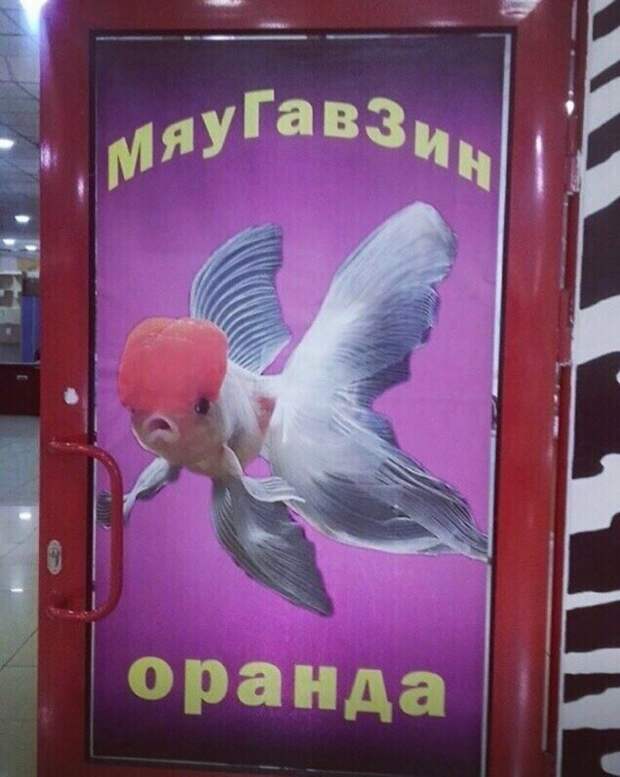 Магнетизм нэйминга и наружной рекламы  вывеска, дизайн, магазин, маркетинг, прикол, реклама, шедевр, юмор
