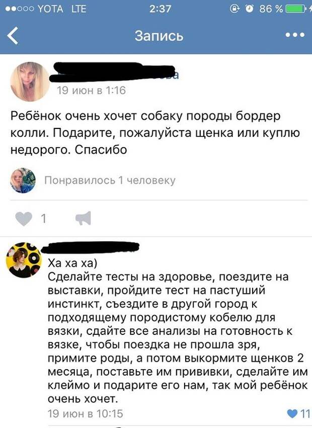 Смешные комментарии из социальных сетей