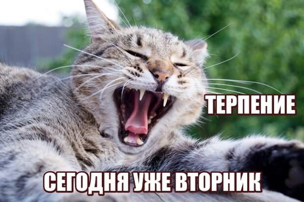 Забавные картинки (30 фото)