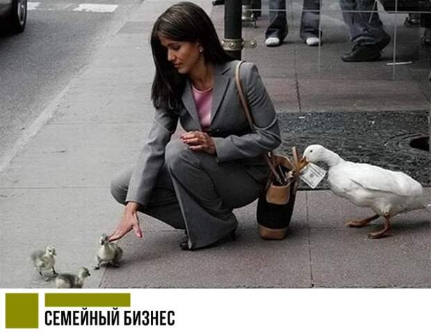 Прикольные комментарии и СМС-диалоги
