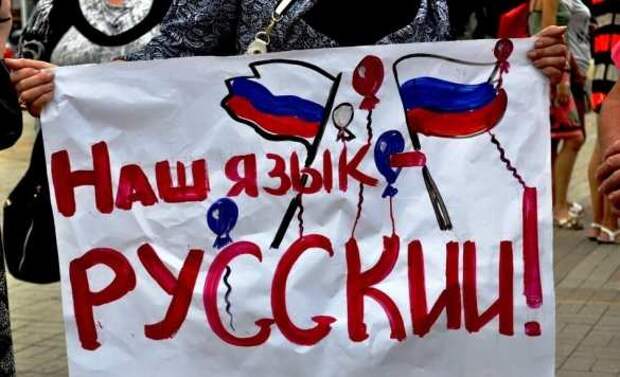 В Совфеде ответили на слова пресс-секретаря Зеленского об «украинском русском языке» | Русская весна