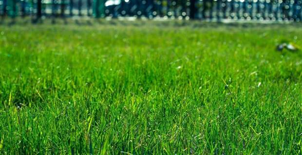 Фото: pixabay.com