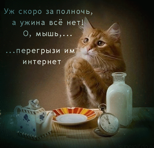 Девушка: пьёт с подругами в пятницу. Женщина: не обращает внимания на такие мелочи как день недели...)