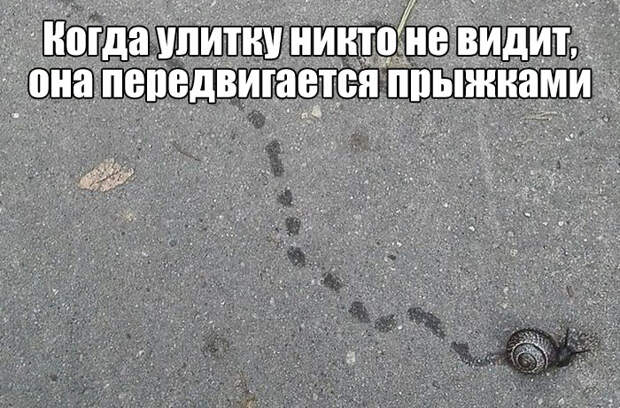 Смешные картинки и фото приколы для настроения (11 фото) Смешные картинки и фото приколы для настроения (11 фото)