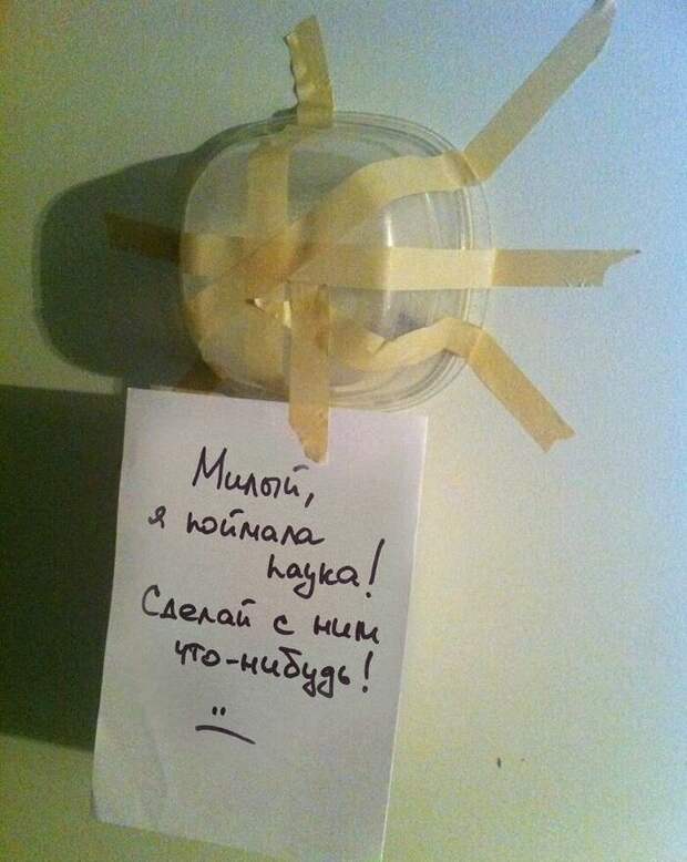 Милая просьба баба, девушка, женская логика, женщина, мозг, переписка, прикол, юмор