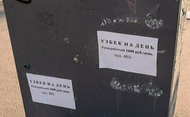 В поисках работы в россии, надпись, объявления, прикол, смешно, смешные объявления, фото