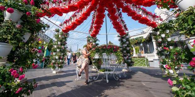 В Москве проходит фестиваль «Цветочный джем». Фото: mos.ru