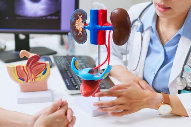 Врач объяснила, что приводит к снижению функции почек