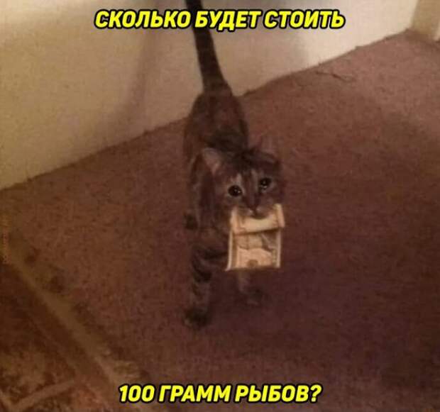 Весёлые