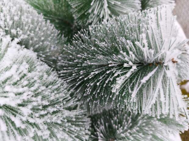 Тульская область ожидает осадки и температурные перепады